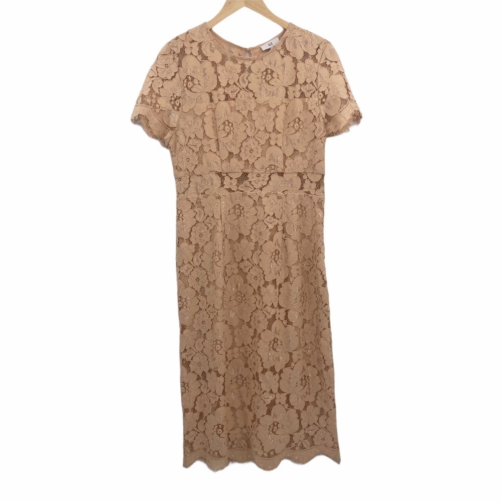 NSR blush lace overlay short sleeve dress